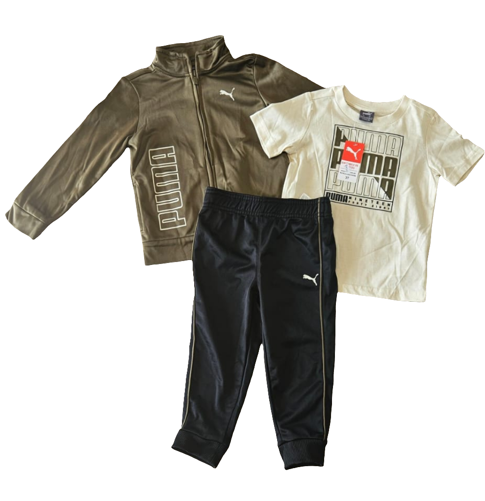 Set puma niño