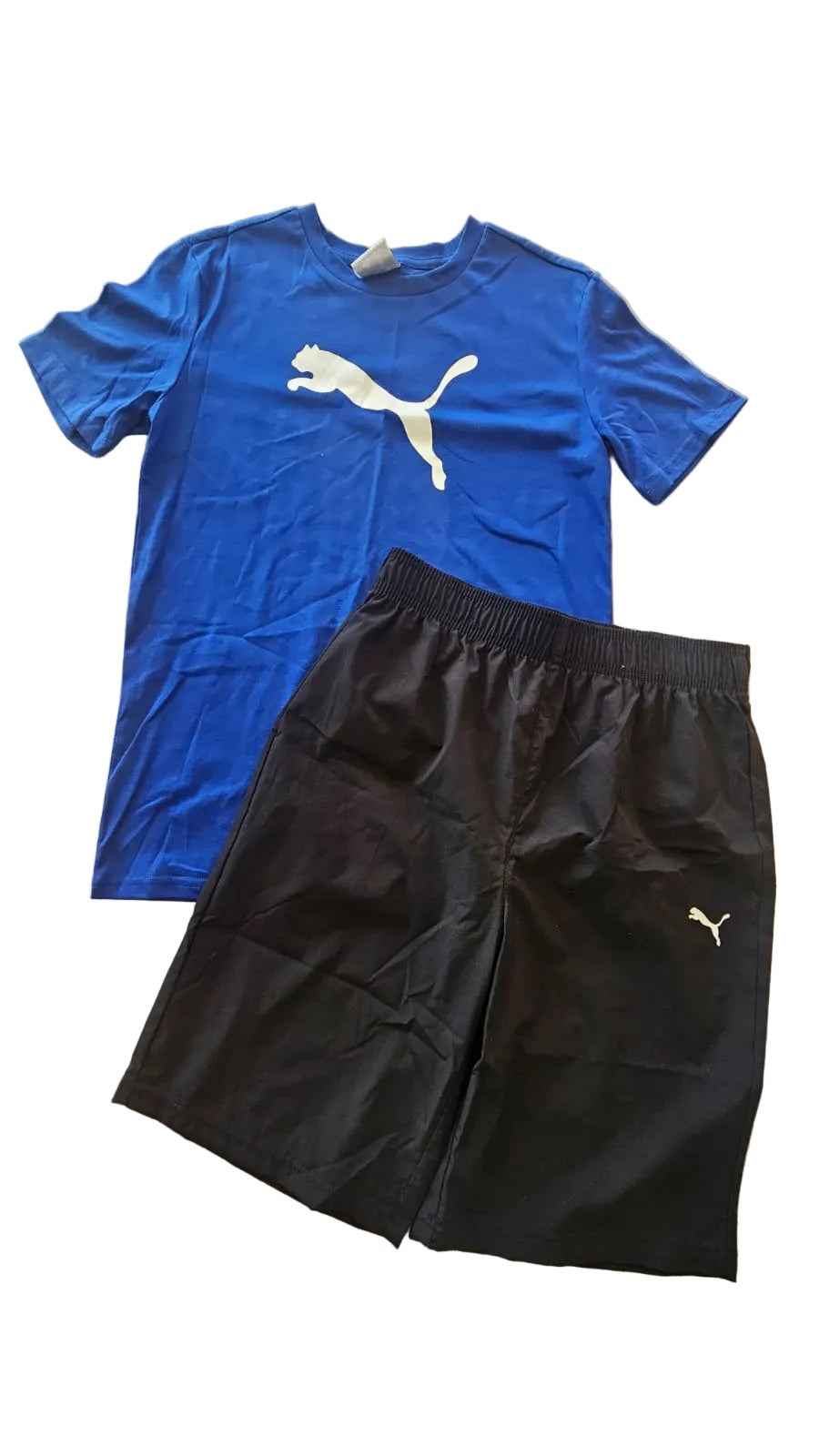 Set puma niño
