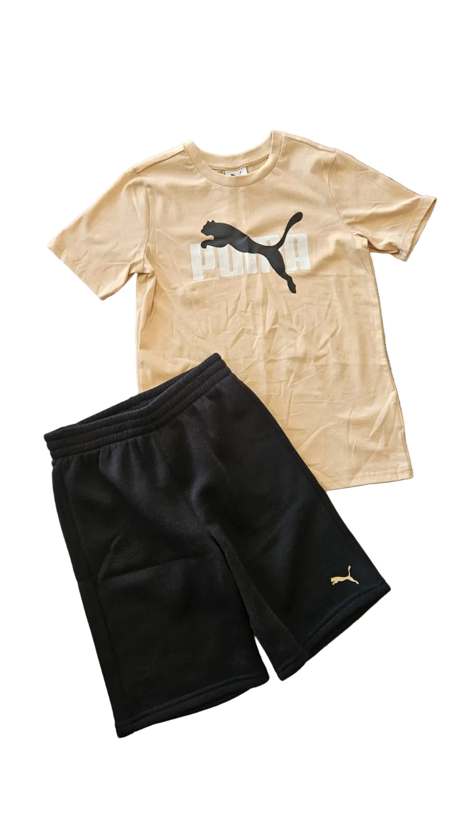 Set puma niño